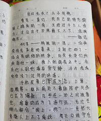 岂曰无衣,与子同袍!六年级女儿写的作文被同学妈妈夸了