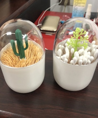 买到一个超可爱的牙签盒,几块钱的快乐你一定要拥有