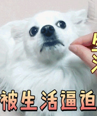 一个学期过去了,手工技艺又提高了呢!来晒那些年陪娃做过的手工