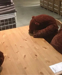 ���˼������������µ��Ķ�ë�ޣ�����������