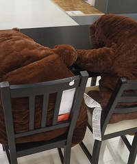 ���˼������������µ��Ķ�ë�ޣ�����������