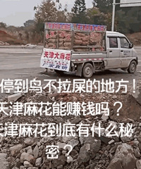 ��������ȫ�����������黨�����ﾹ�ع�С����