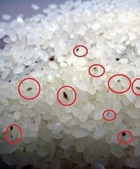 �������ֵ������֡������ס�����˵���������Ա��