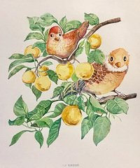 ���ص�ʱ����Լ���һ��������ѩ��ɣ����ֹ��