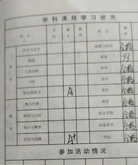 小学生家长来说说,你们学校怎么打素质报告册的成绩等级?