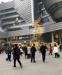 ��ɳ��ֹ���һȦ������ͦ������