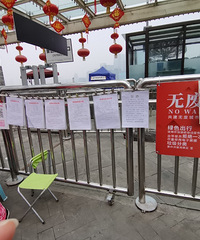 周末6点起床直奔洪崖洞相亲角,可我连把资料拿出来的勇气都没有