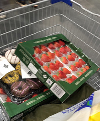 ɽķ�����������һ�еĲ�ݮ����û�������кó�