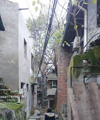 88年161CM教育行业的小姐姐征婚,希望对方脾气心态平和