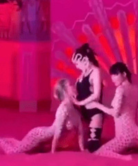 ������ר������赸��������