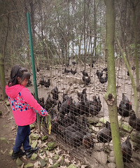 1Сʱ͵޺õطũҲˣ