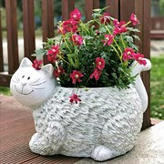猫猫花盆太可爱了吧