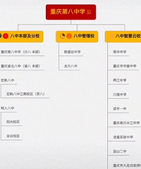 一图看明白八中和各个分校的关系