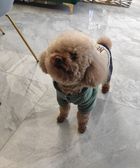 58װ155ƽԾ׵װ޹˾̫Ҫ