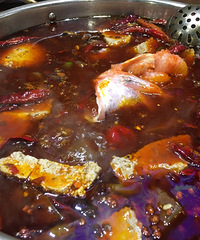 ��Ҷ�����̫�����ˣ�������Ѫ�����Խ��Խ�ó�