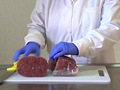10块钱的牛排能吃吗
