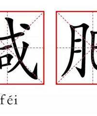 吃代餐粉真的能不饿或者减肥吗?我花了7天时间测试