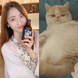 朋友脱单后我也来相亲