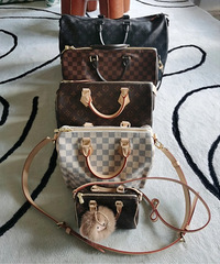 LV speedy nano��25��30��35�ߴ�����
