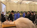 他迎娶亡妻被起诉