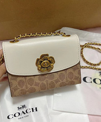 ���ս������Լ�һֻCoach parkar 18��ɫ