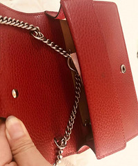 ����һֻ���������Gucci�������