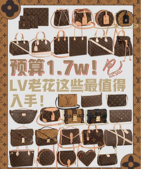 预算17000!这46款老花LV包包最值得入手