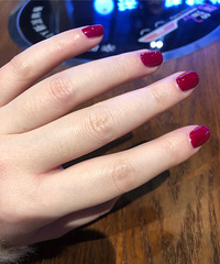 ���������20�����������׶���������