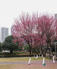 µ÷ͺĻҲ̫˰ɣ̫ϧ