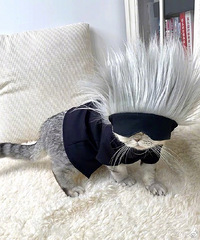 �г���Ŀ������������������ҪЦ������