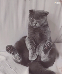 ڵ򿨣 ؼҵһ죬èɹע