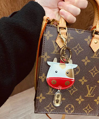�������������LV mini tote ���װ���ʵ������