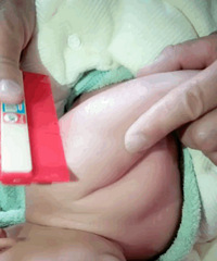 ˵ӳˡë衱Ӳʹμµĺ