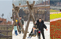 1200Ķ+Ĺŵ幫԰ˣѿԤԼ