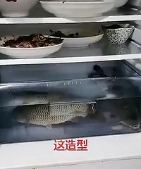 ������һ���Ȼ�������㣿��������׿�����