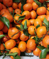 �򿨿ո�ˮ���г����Ἰ��ˮ���ؼһ��ǻ���