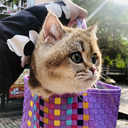 ��������·����������