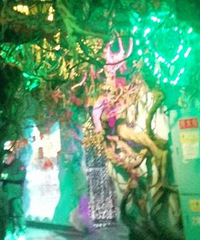 某海洋世界归来,感觉逛了个鬼屋