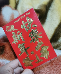 春节单身打卡:爸爸想我找一个像他这样爱我的男人