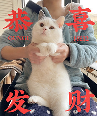 八宝粥祝大家牛年大吉,我已经买好很多春装啦