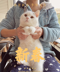 八宝粥祝大家牛年大吉,我已经买好很多春装啦