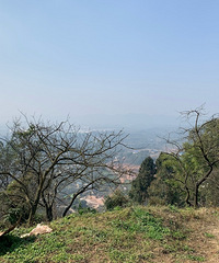 ɽϹĸܣãͲ˻ˣũҲ˰