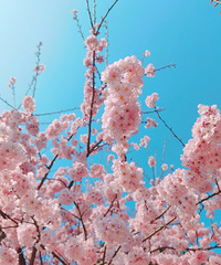 ɽӣѾʢˣŶ̫ܵˣǧ