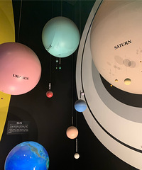 ׳ɹ2021.2.16ѵˣлƽ̨