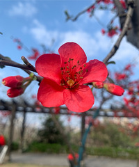 你怎么看待先婚后爱?有能接受的小姐姐吗