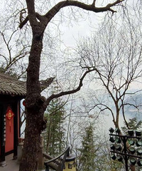 爱我重庆大好河山+【春节带娃】