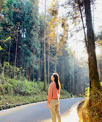 91167CMľз飬й˾ְ