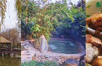 ϼҳԴͳˣסȪƵԼ۱޵