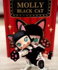 MollyС��è����̫�ɰ��ˣ�