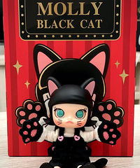 MollyС��è����̫�ɰ��ˣ�